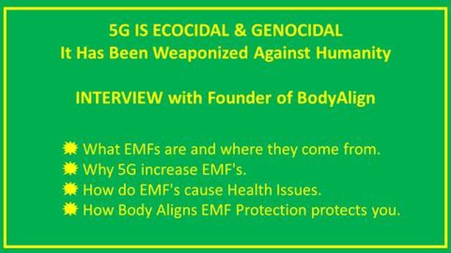 body-align-guru-steve-lepkowski-on-5g-emf-threats-and-energy-wellness